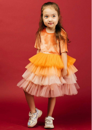 Elbow Sleeves Orange Velvet Ombre Tiered Tulle Flower Girl Dress